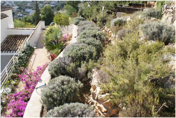 El Jardín Mediterráneo. Diseño, mantenimiento y paisajismo
